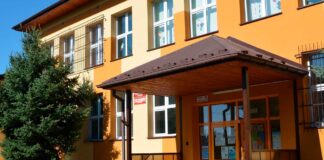 Grzyb w szkole postrachem dzieci i rodziców