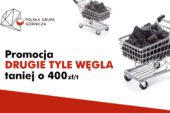 Kiedy kupić węgiel