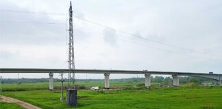 Kilkaset drzew i krzewów trafiło pod topór