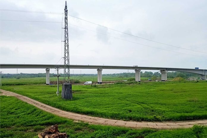 Kilkaset drzew i krzewów trafiło pod topór