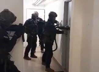 Kolejni członkowie brzeskiej mafii mefedronowej zatrzymani