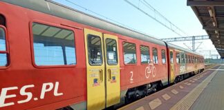 Niezwykła historia leciwej muchy