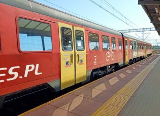 Niezwykła historia leciwej muchy