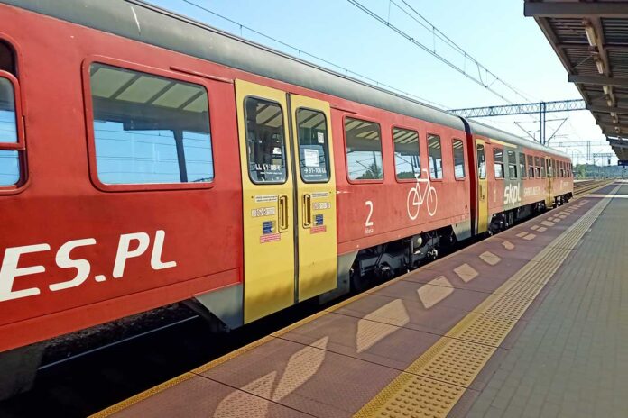 Niezwykła historia leciwej muchy