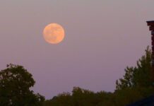 Czerwcowa pełnia, czyli Truskawkowy Księżyc rozświetli niebo Truskawkowy Księżyc
