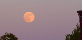 Truskawkowy Księżyc