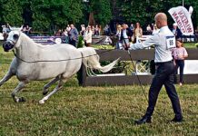 Miliony przeszły Klikowej koło nosa