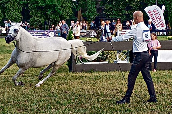 Miliony przeszły Klikowej koło nosa