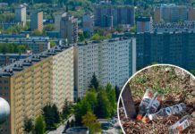 Wakacje to zmora tarnowskich blokowisk Wakacje to zmora tarnowskich blokowisk