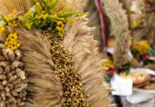 XXVII Dożynki Gminy Skrzyszów już w najbliższy weekend Dożynki