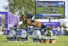 Jeździectwo – Mediolan 2023: Fredricson liderem ME. Dobre przejazdy Polaków Jeździectwo