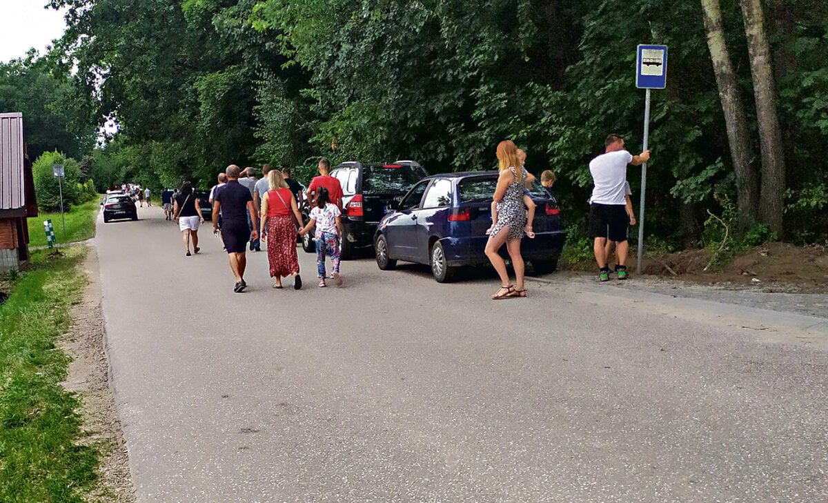 Niebezpiecznie przy ścieżce w koronach drzew