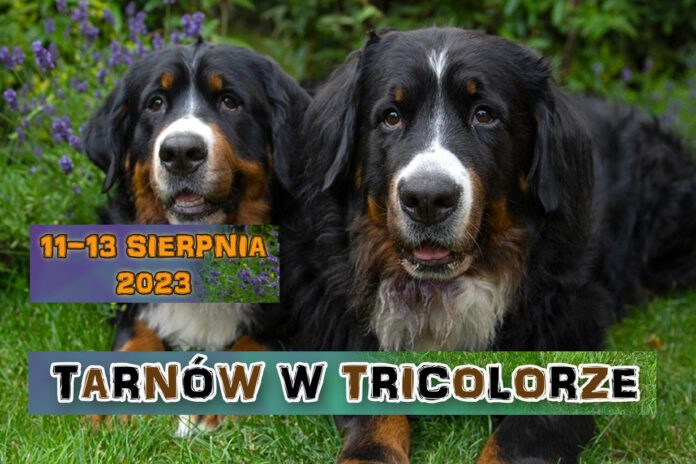 Zjazd Berneńczyków Tarnów 2023