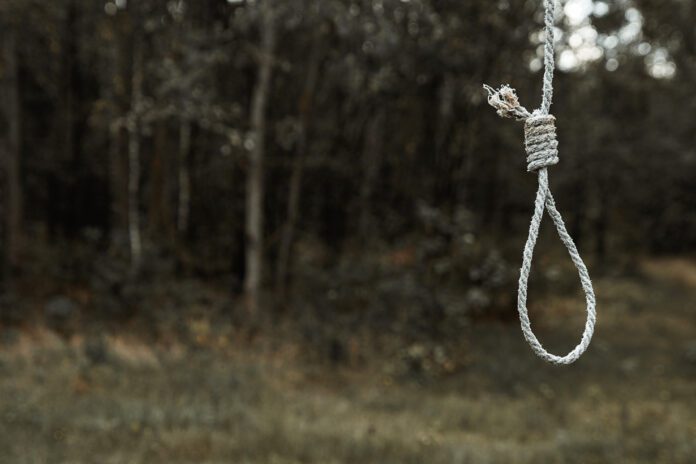 Samobojca w lesie Samobojca w lesie