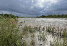 Wysoki poziom Dunajca