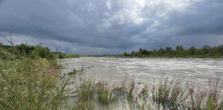 Wysoki poziom Dunajca