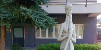 Dziewczyna z warkoczem