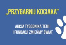 Przygarnij kociaka! – akcja tygodnika TEMI i Fundacji Zmieńmy Świat w nowej odsłonie Przygarnij kociaka