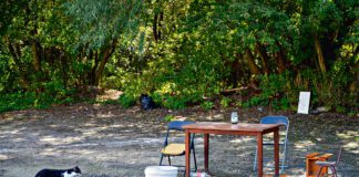 Zakątek grozy na Spytki