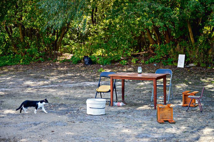 Zakątek grozy na Spytki