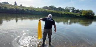 Trwa jesienne zarybianie rzek