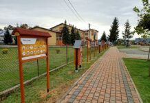 Pszczela ścieżka Ładna