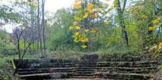 Szachownica Marcinka 2023