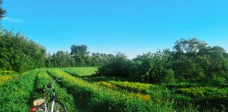 Ścieżka rowerowa Budżet Obywatelski Tarnów