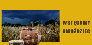 wyróżniający Gwoździec