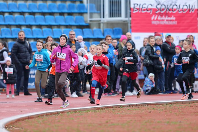 Bieg Sokołów fot. Tomasz Schenk Bieg Sokołów