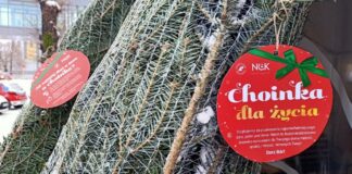 Choinka dla życia