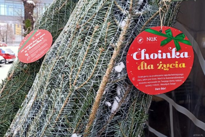 Choinka dla życia