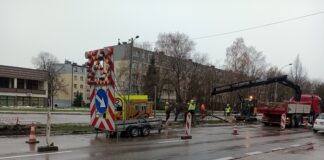 Nasadzenia lip Słoneczna Tarnów