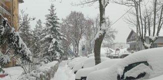Samochody na ul. Skargi w Tarnowie, grzecznie czekające na poprawę pogody