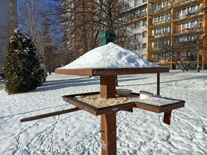 Osiedlowy karmnik na "Jasnej"