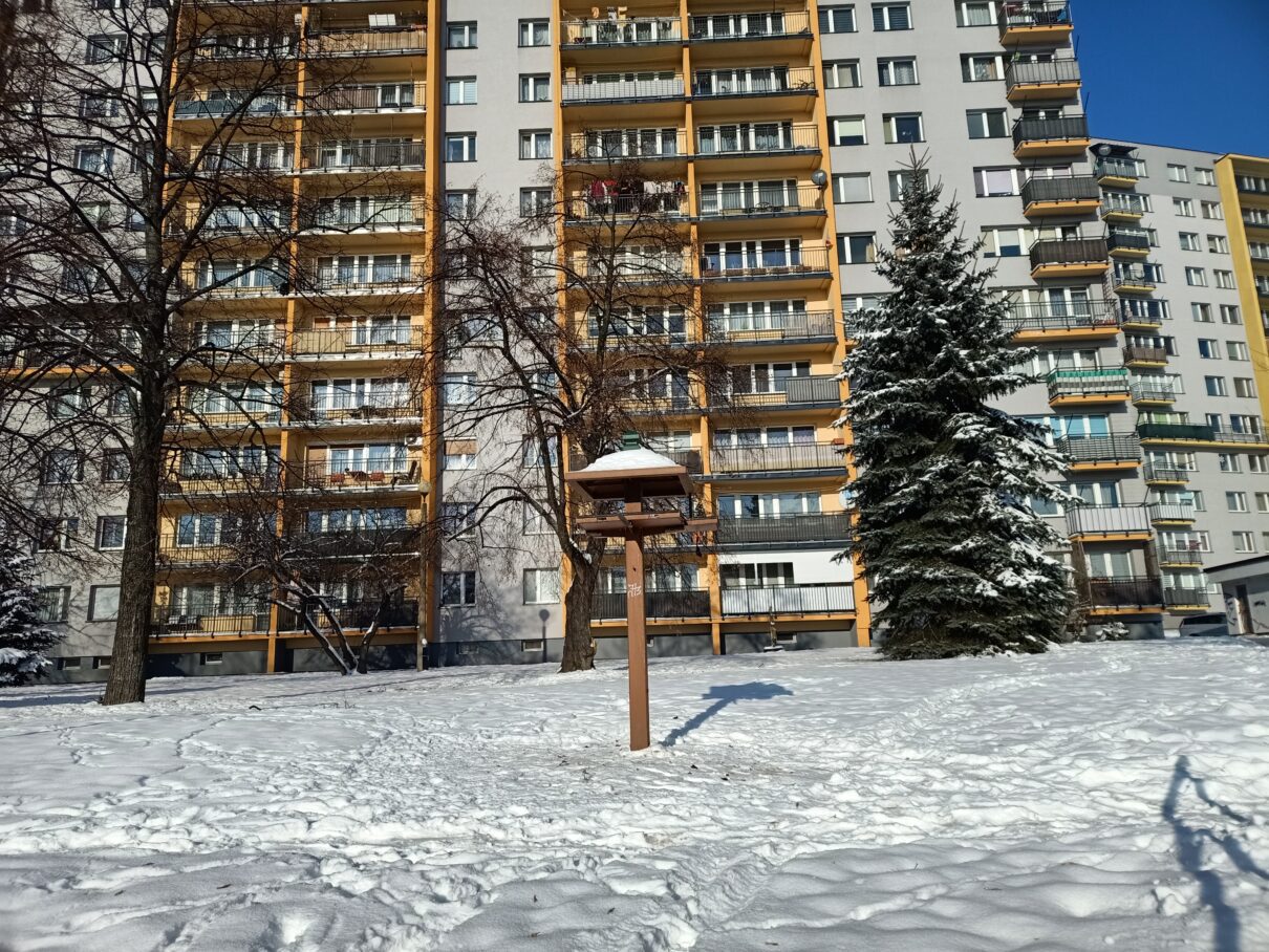 Osiedlowy karmnik na "Jasnej"