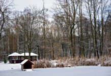 Tarnów - Powstanie kolejna tężnia solankowa w parku Piaskówka
