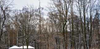 Tarnów - Powstanie kolejna tężnia solankowa w parku Piaskówka