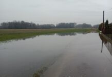 Zalegająca woda na jednej z ulic w Woli Rzędzińskiej