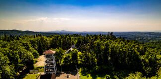 Wieża widokowa w Jodłówce Tuchowskiej