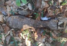 niewybuch-policja-tarnów