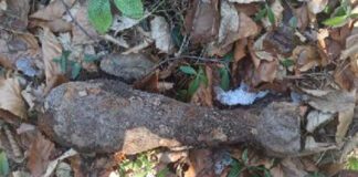 niewybuch-policja-tarnów