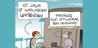 Czy jajo z tarnowskiego Burku jest lepsze od fermowego