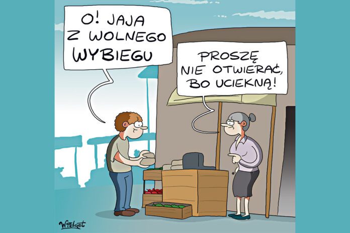 Czy jajo z tarnowskiego Burku jest lepsze od fermowego