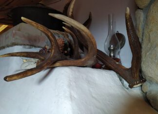 fot. Sebastian Czapliński