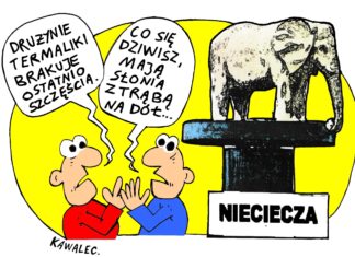 Nieciecza