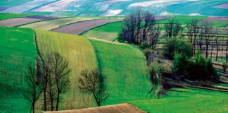 Fundusze Europejskie dla Małopolski - Oferta wiosenna