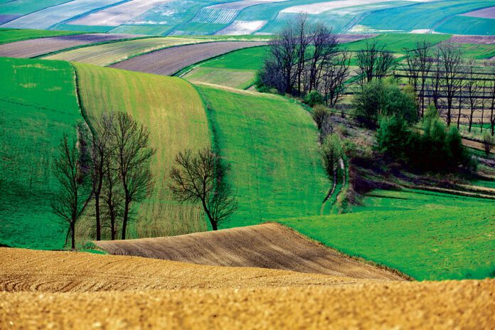 Fundusze Europejskie dla Małopolski - Oferta wiosenna