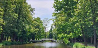 Prawie jak w ogrodach Wersalu…2