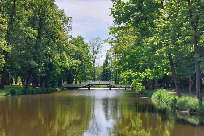 Prawie jak w ogrodach Wersalu…2